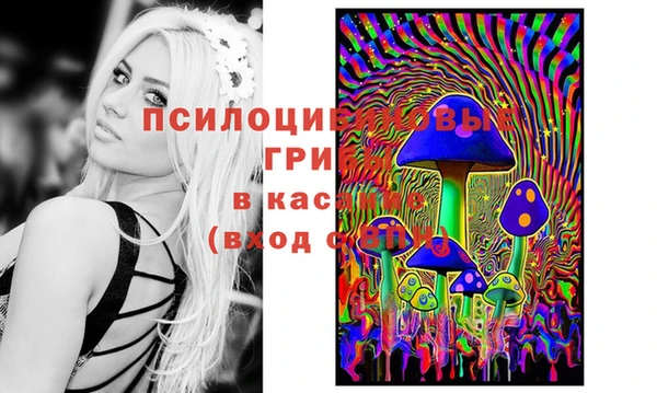 спайс Верея