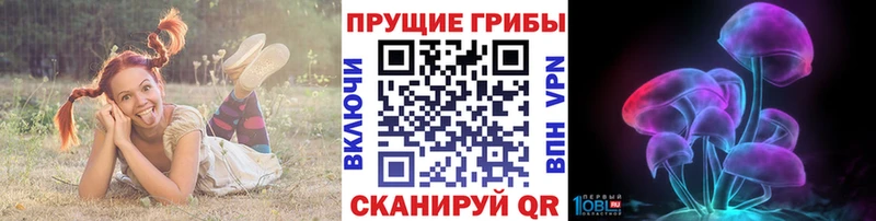 Псилоцибиновые грибы мухоморы  закладки  Кимовск 